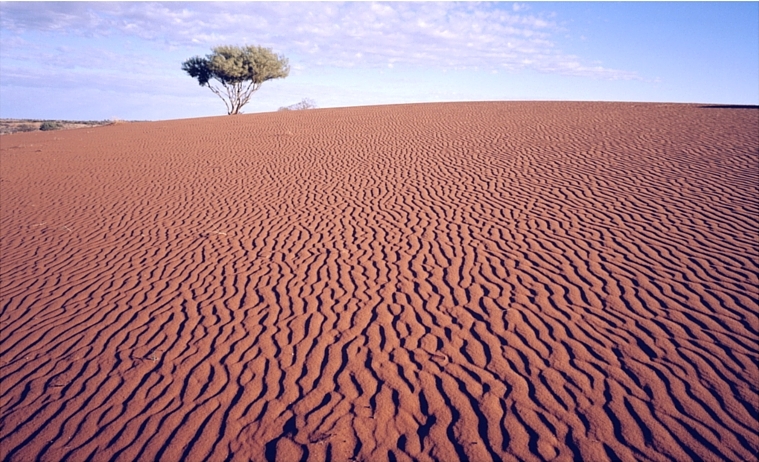 Preparing for the Megadrought